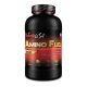 AMINO FUEL BIOTECH